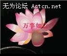u=506306404,3854301248&fm=3&gp=19[1].jpg