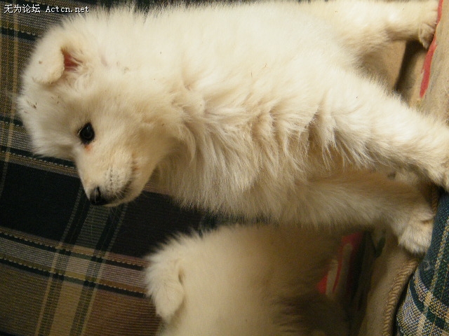 DSCF3114.JPG