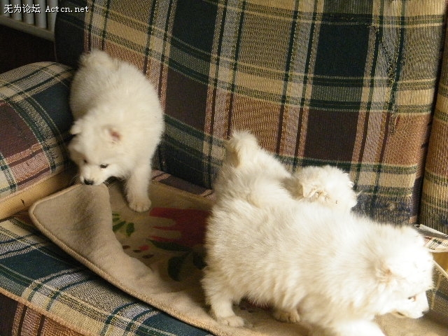 DSCF3126.JPG