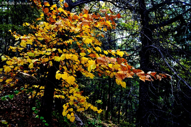 0910262140ecb898ae526ed4a2.jpg