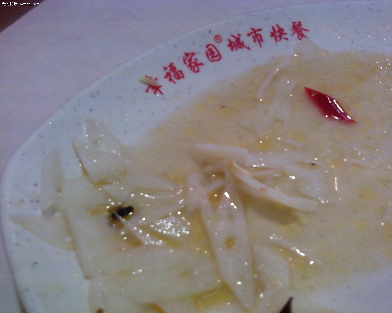 Ƭ-0016.jpg