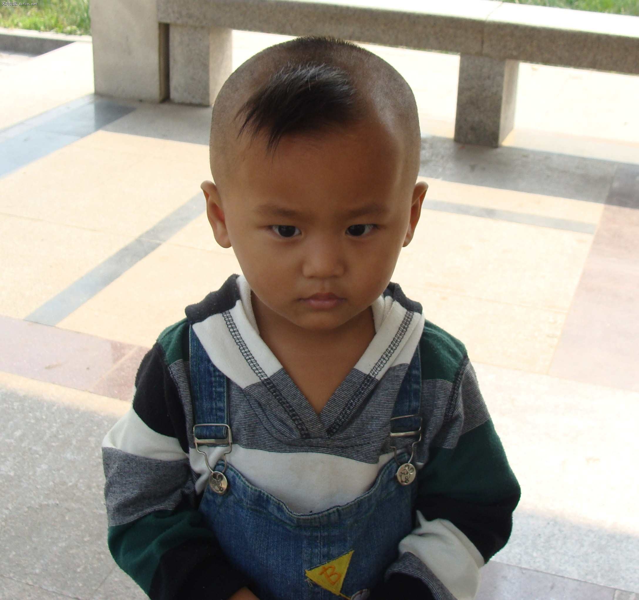 DSC01694.jpg