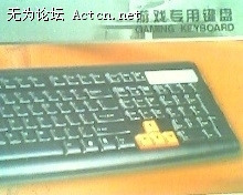 IMG0173A.jpg