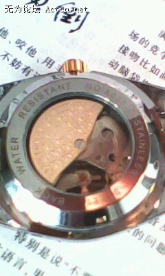 IMG0011A.jpg