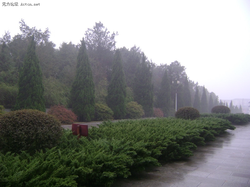 DSC00443_С.JPG