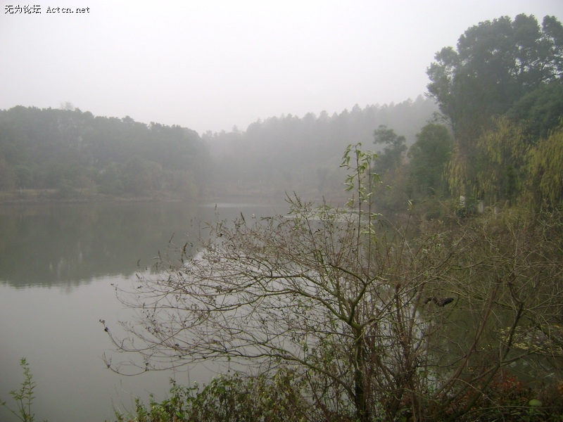 DSC00458_С.JPG