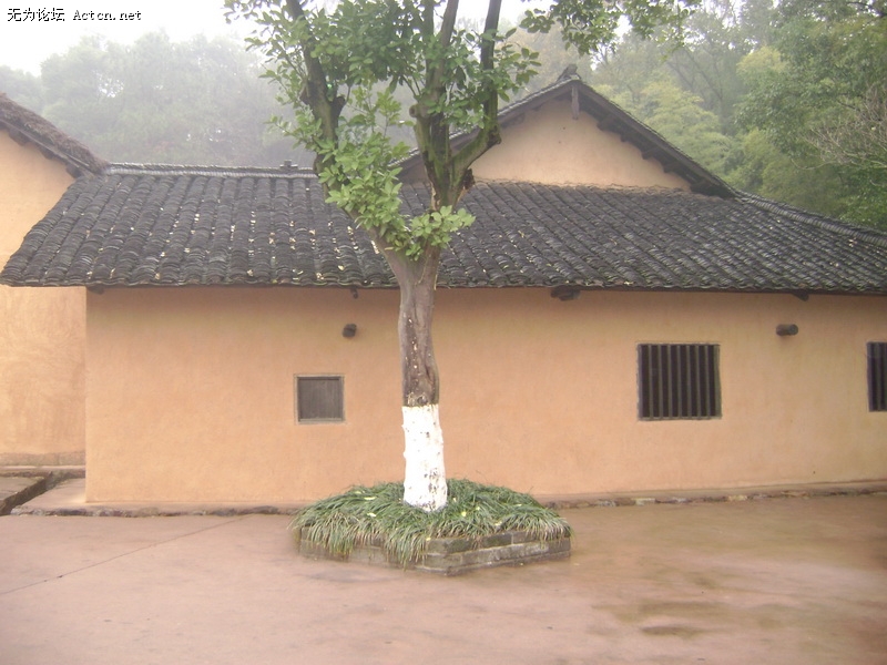 DSC00453_С.JPG