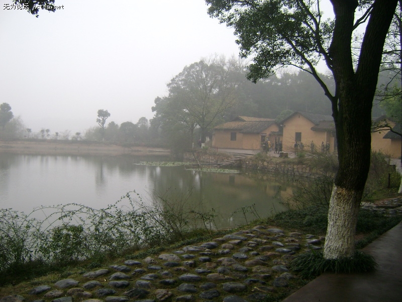 DSC00452_С.JPG