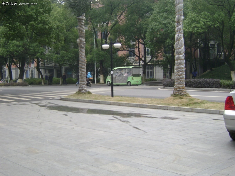 DSC00269_С.JPG