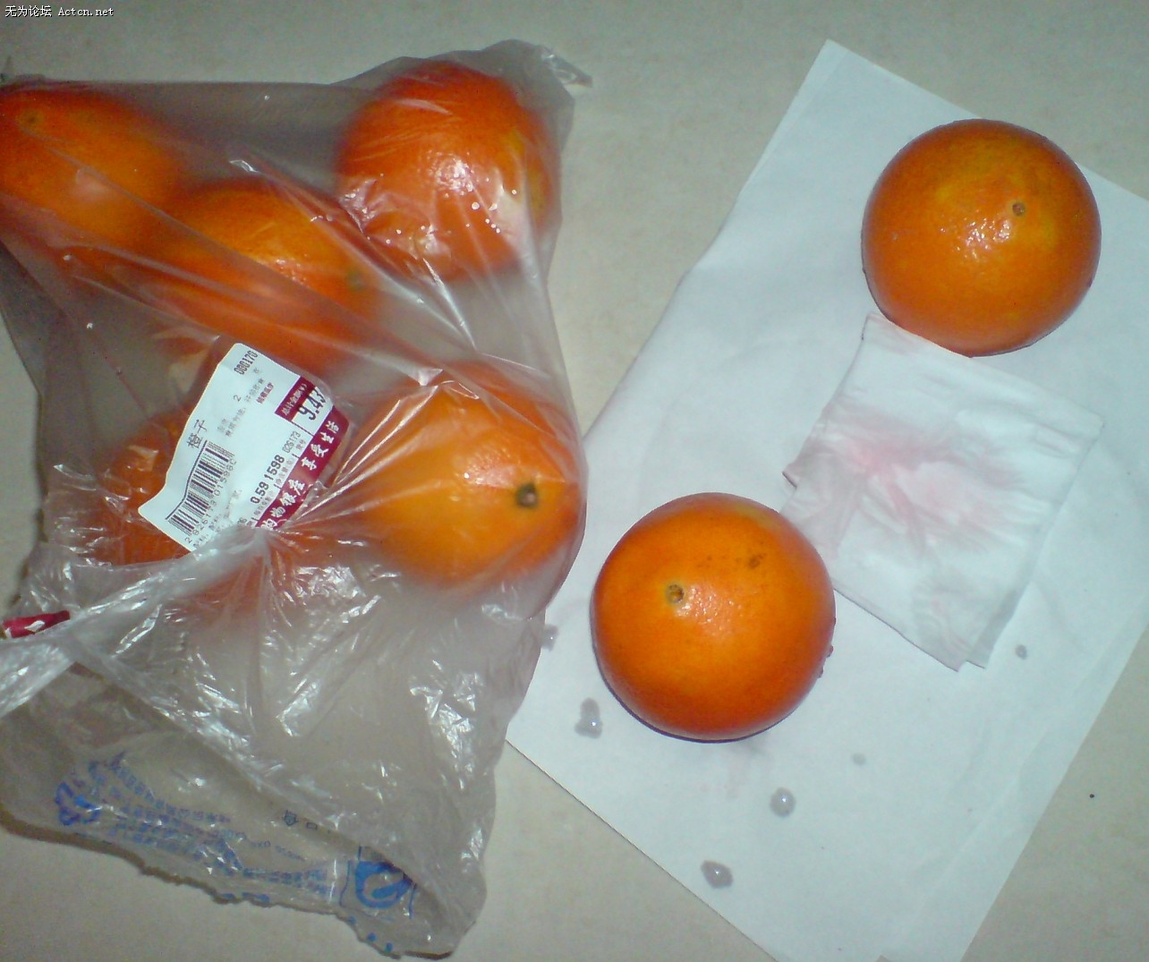 DSC00349.jpg