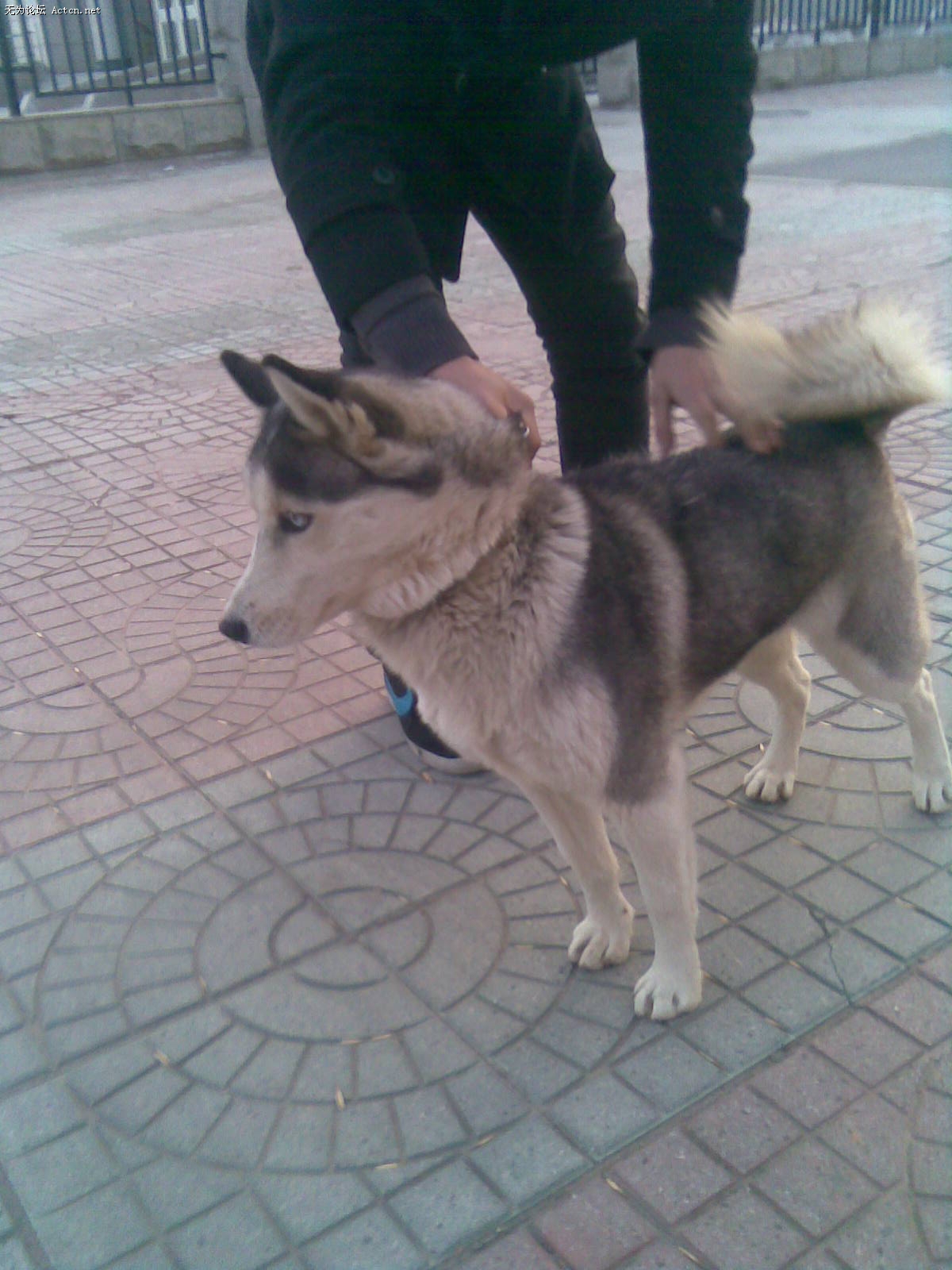 20100111(007).jpg