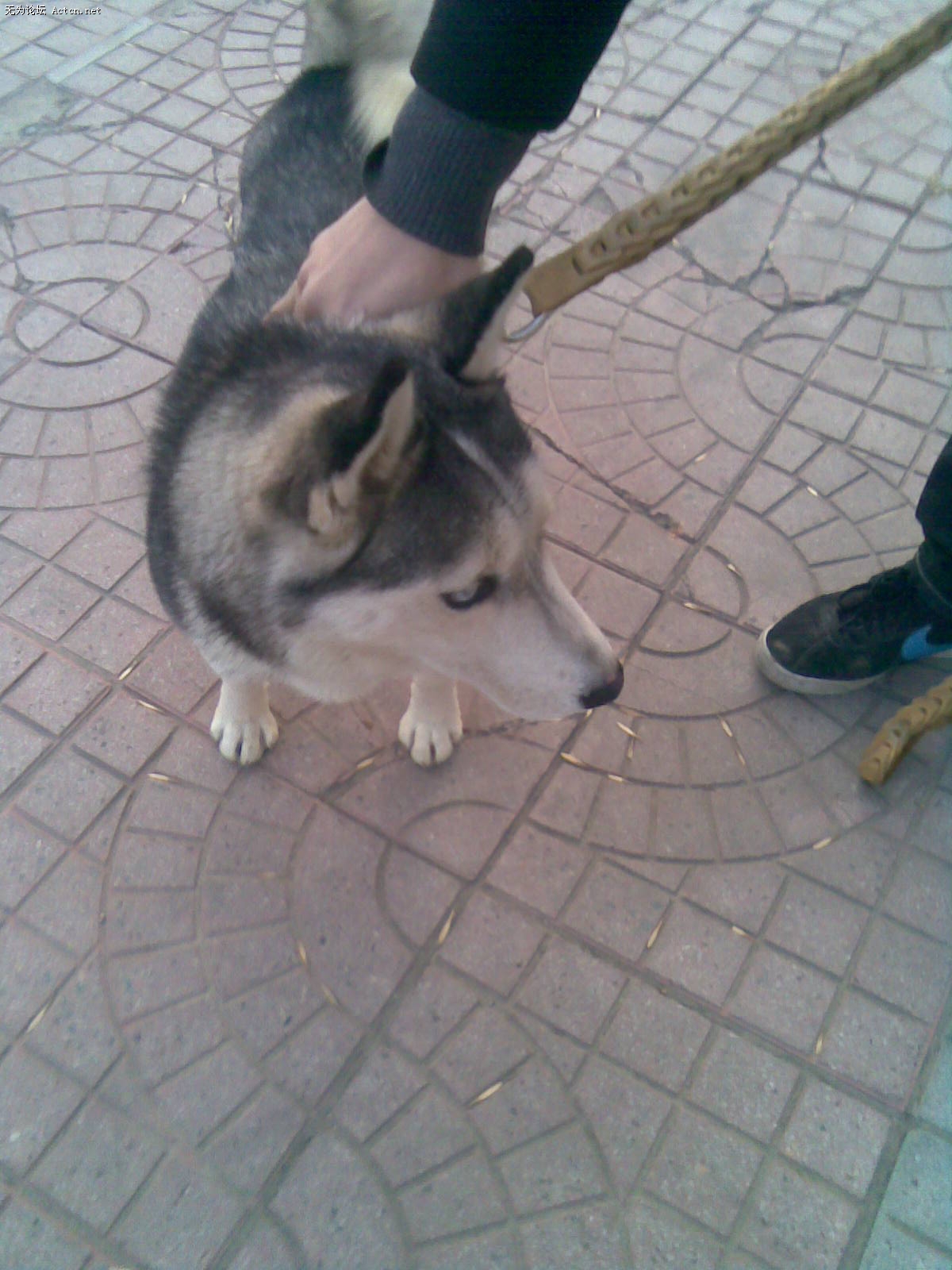 20100111(002).jpg
