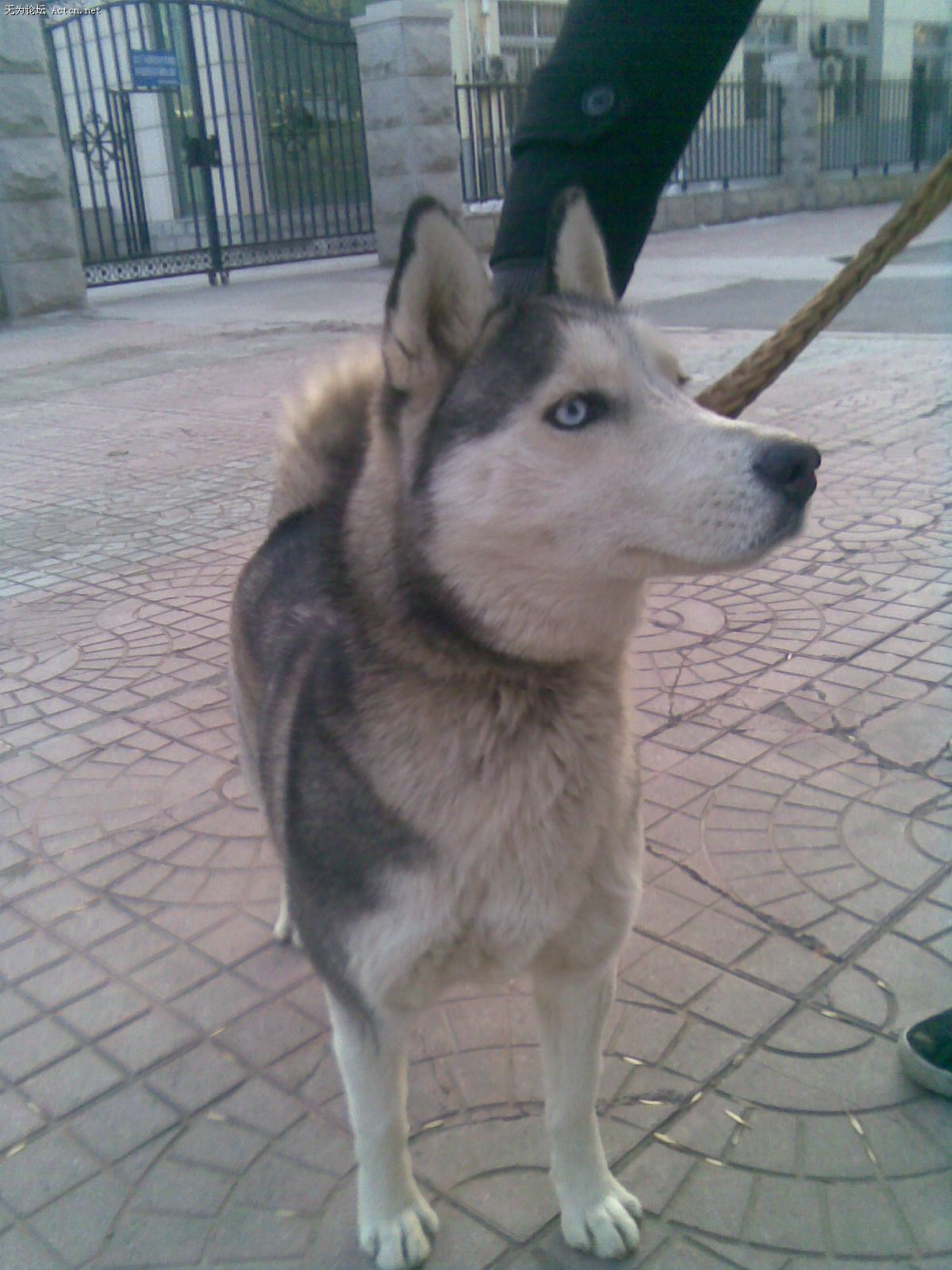 20100111(003).jpg
