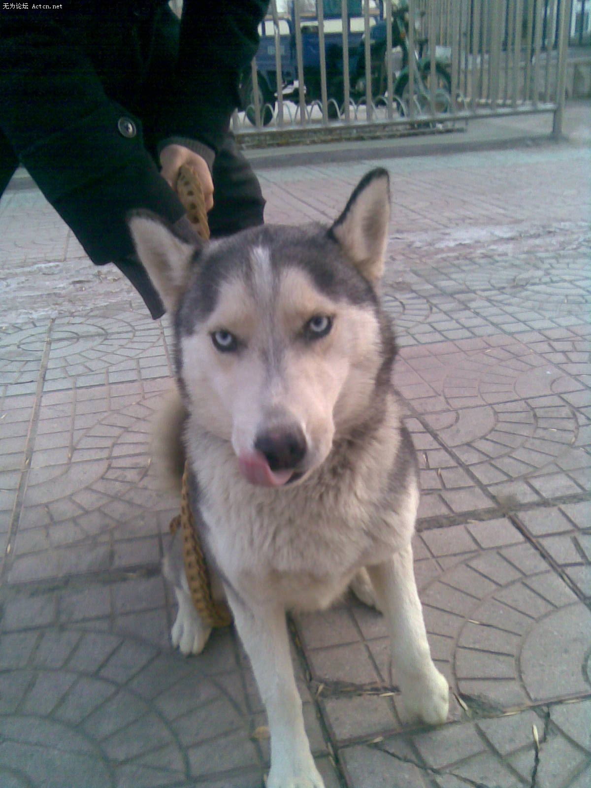 20100111(010).jpg