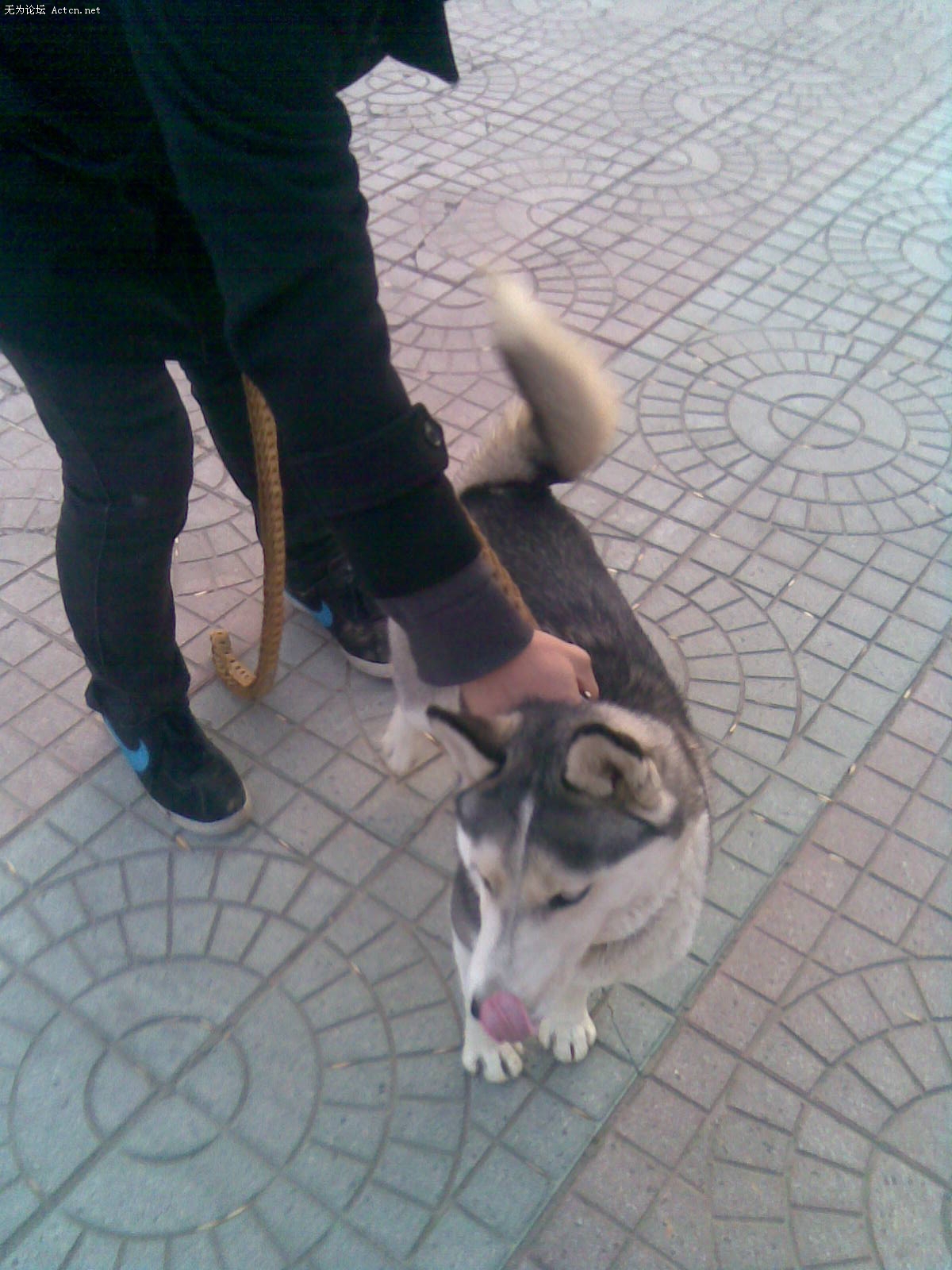20100111(005).jpg