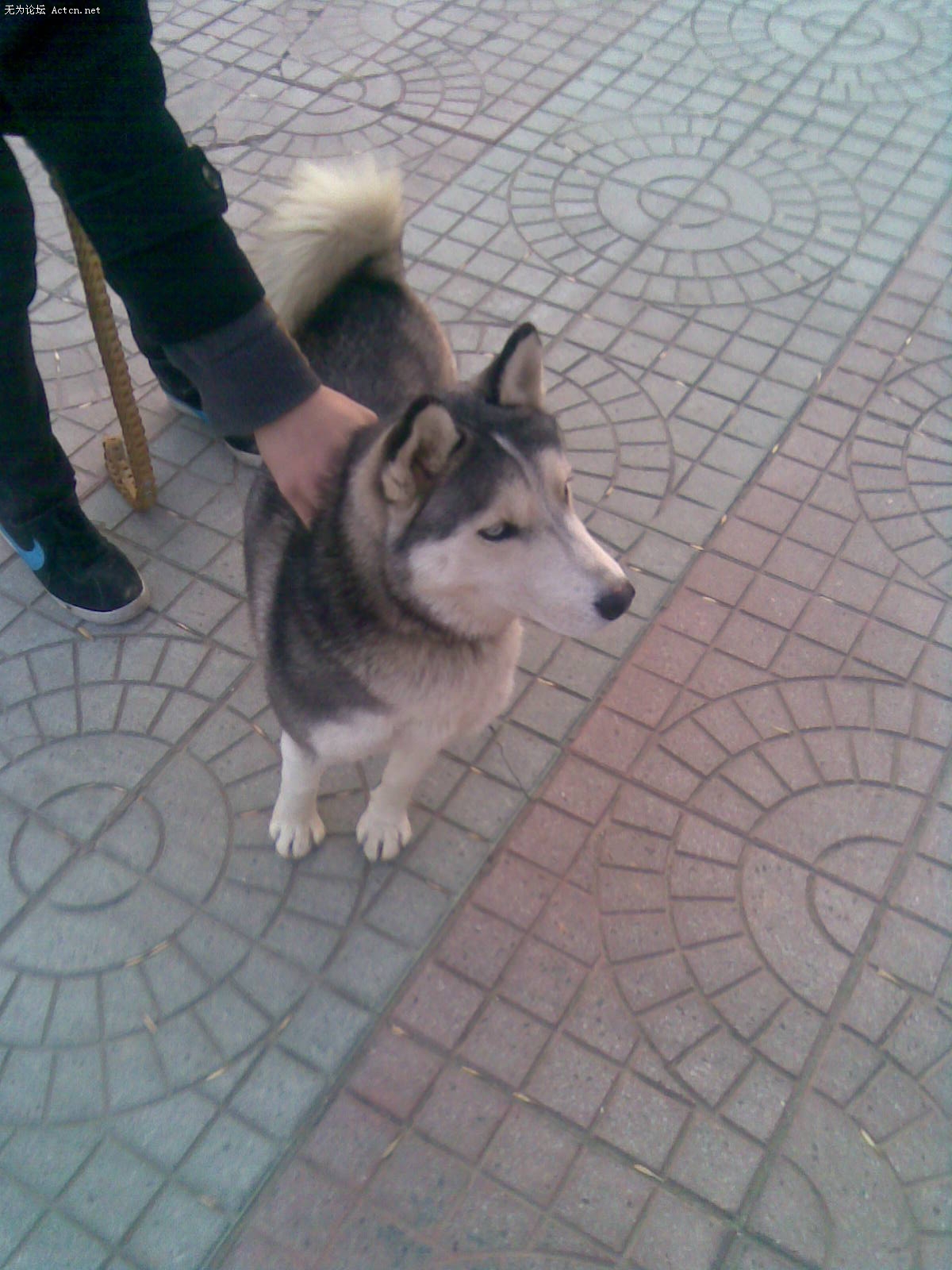 20100111(006).jpg
