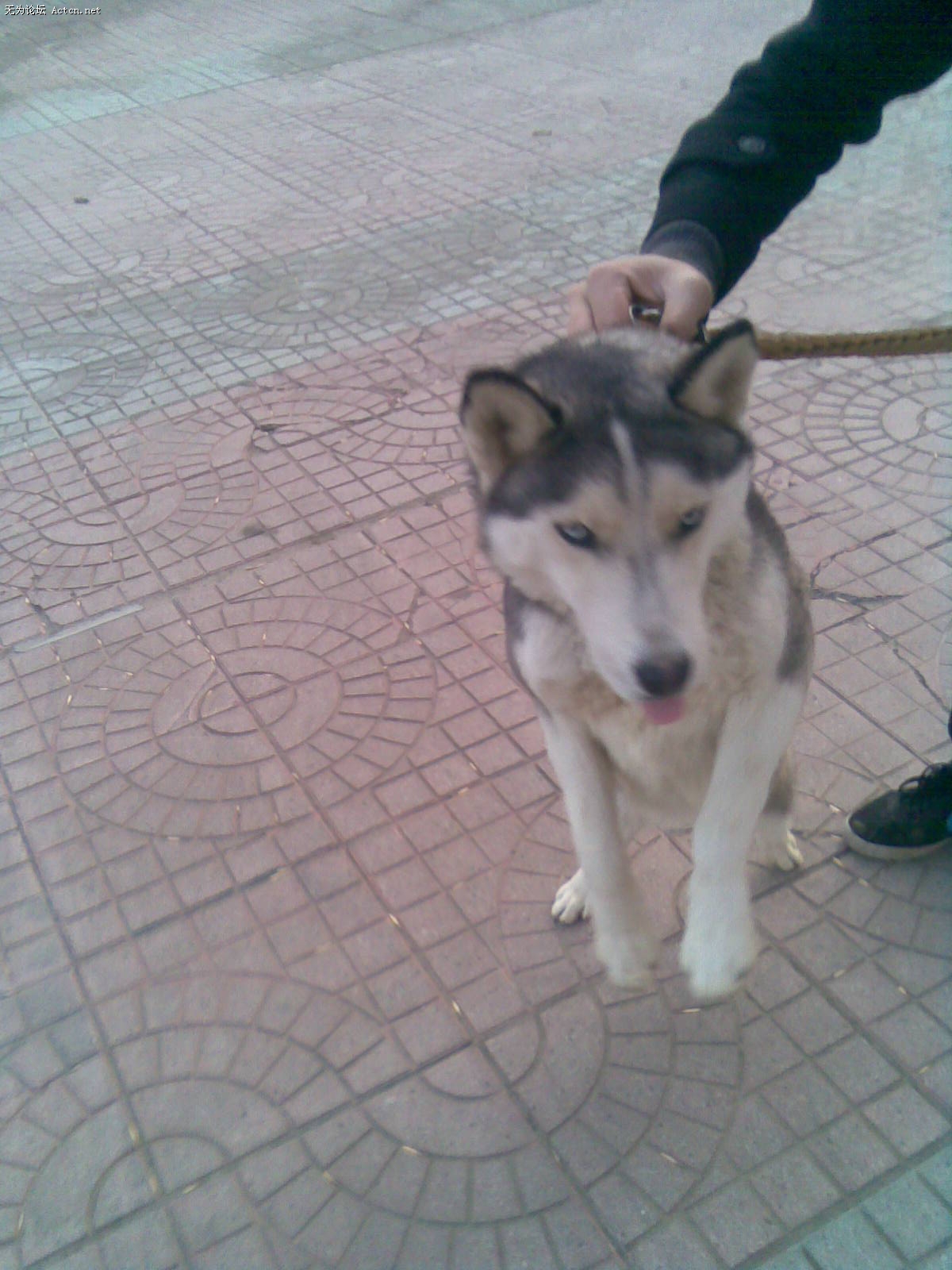20100111(004).jpg