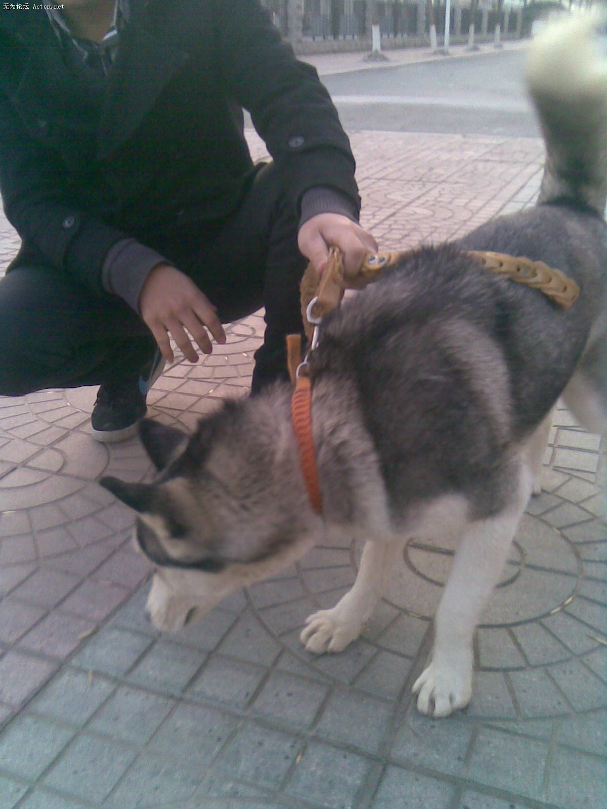 20100111(009).jpg