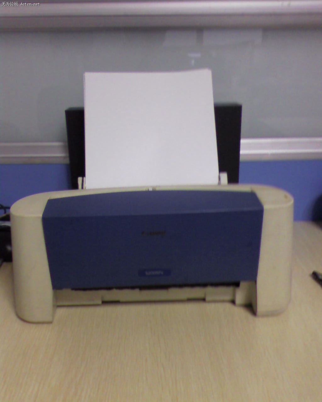 SP_A0310.jpg