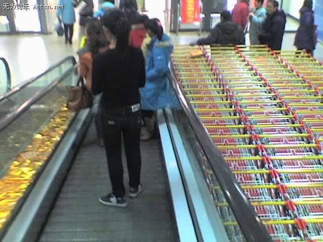 27-01-10_1214.jpg