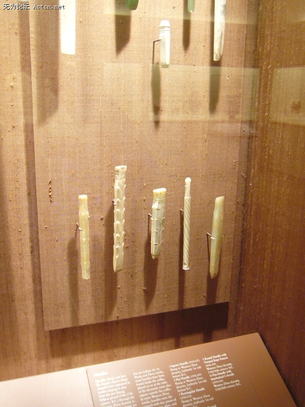 P1040723.JPG