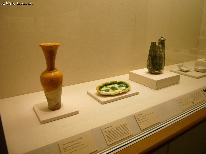P1040747.JPG