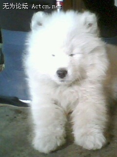 IMG0051A.jpg