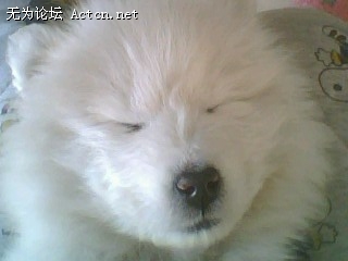 IMG0037A.jpg