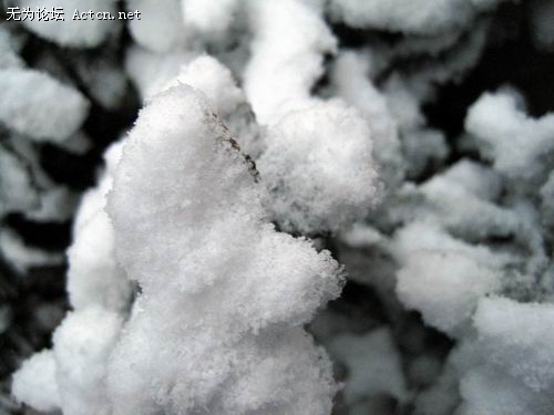 Ƭ 011.jpg