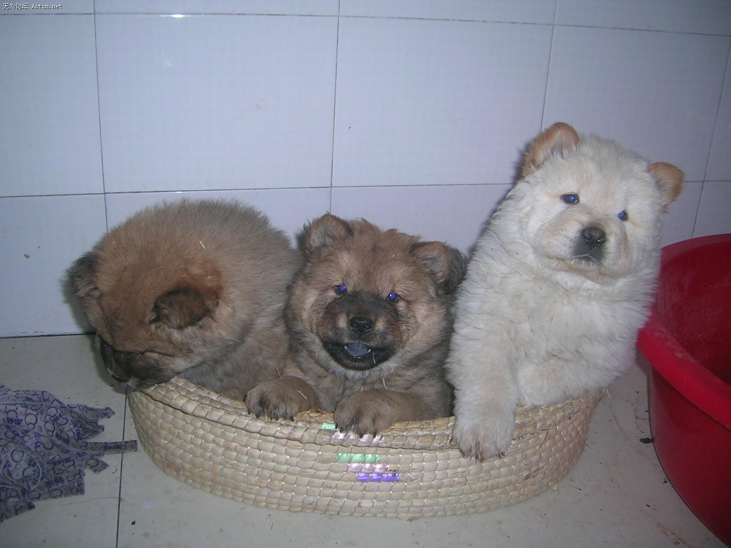 DSCN3145.jpg