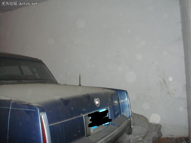 DSC03685.JPG