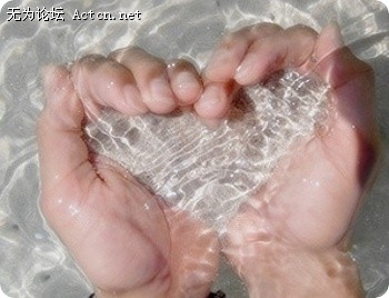 large_8752g66.jpg