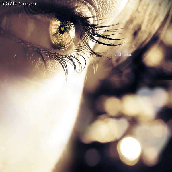 p_large_e6oK_78bf00057c7e2d13.jpg