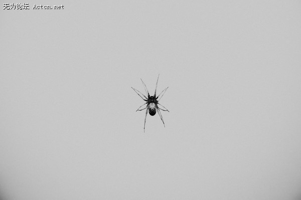 p_large_GpmJ_2891000278072d12.jpg