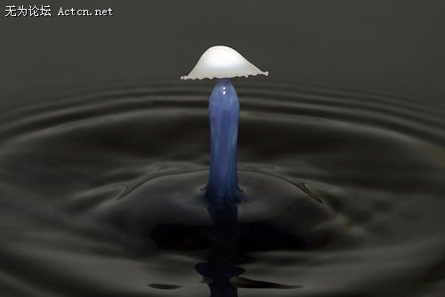 p_large_qj62_5627000512742d0f.jpg