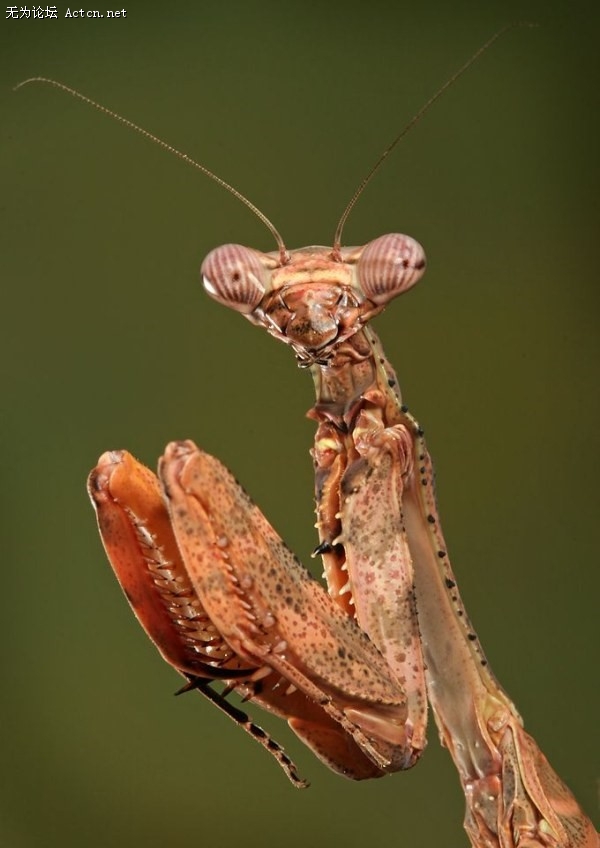 p_large_vP7I_163f00017cbc2d0e.jpg