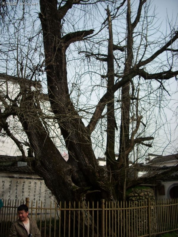 DSCN1771.JPG