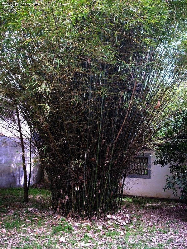 DSCN1760.JPG