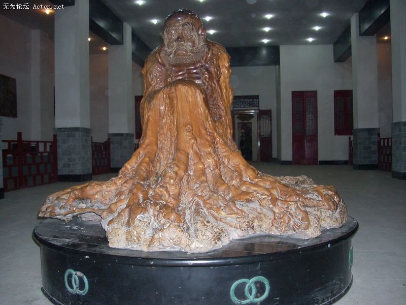 DSCN1708.JPG