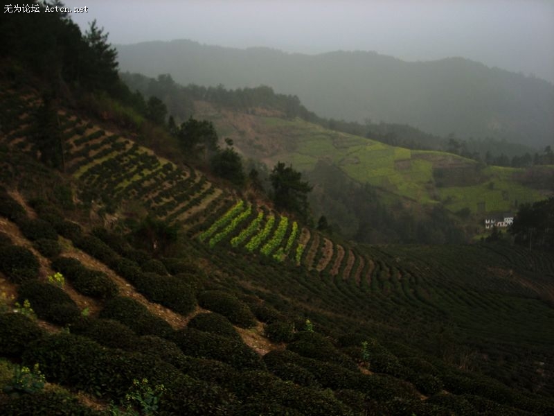 DSCN1714.JPG