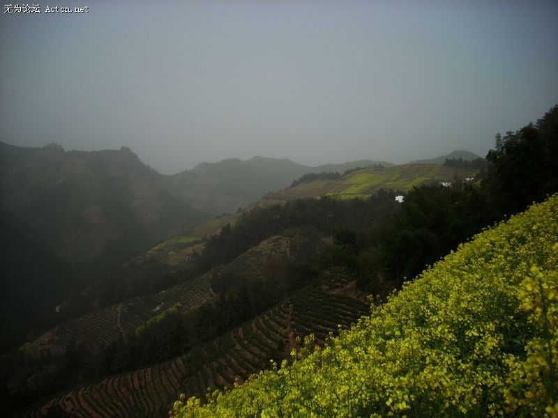 DSCN1725.JPG