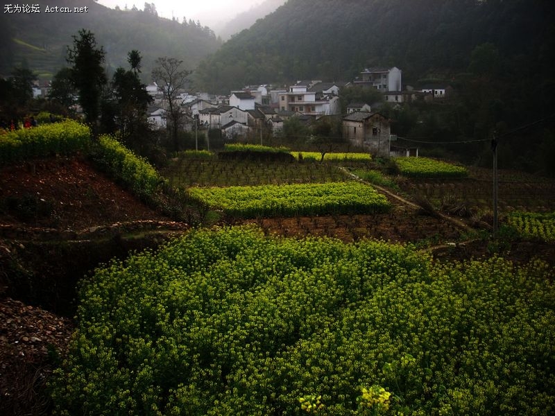 DSCN1709.JPG
