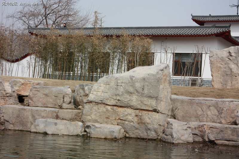IMG_6839_С.JPG