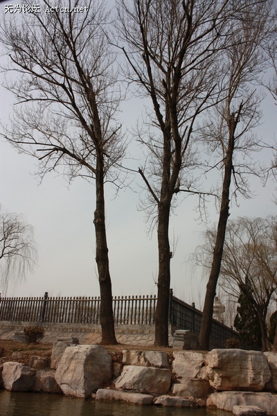 IMG_6843_С.JPG