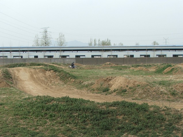 10.jpg