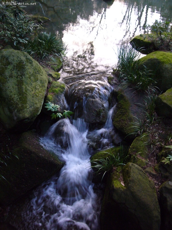 P1050646.jpg