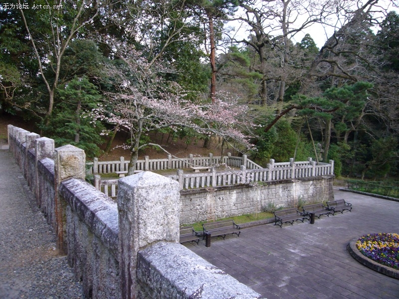 P1050631.jpg
