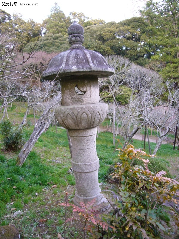 P1050641.jpg