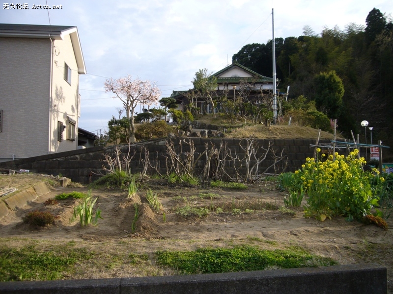 P1050606.jpg