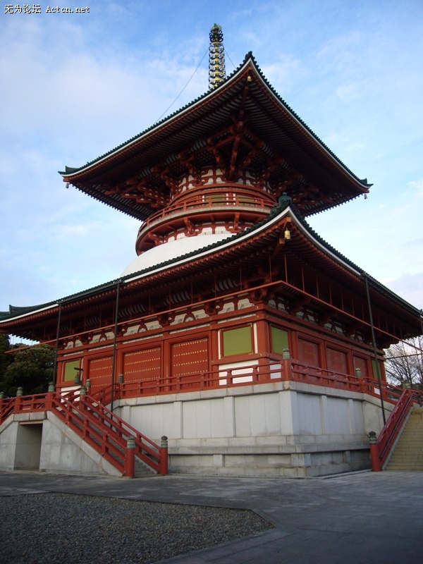 P1050626.jpg